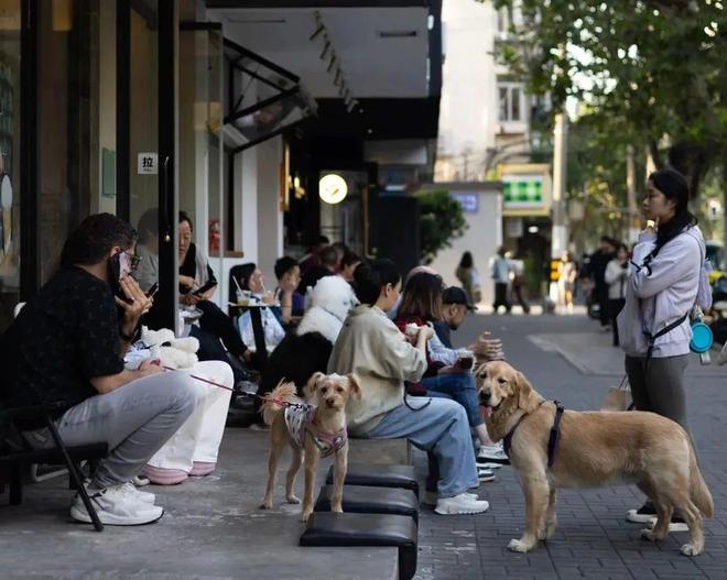 弃了双11爱上了“老年严选”AG旗舰厅这届脆皮年轻人抛(图10)