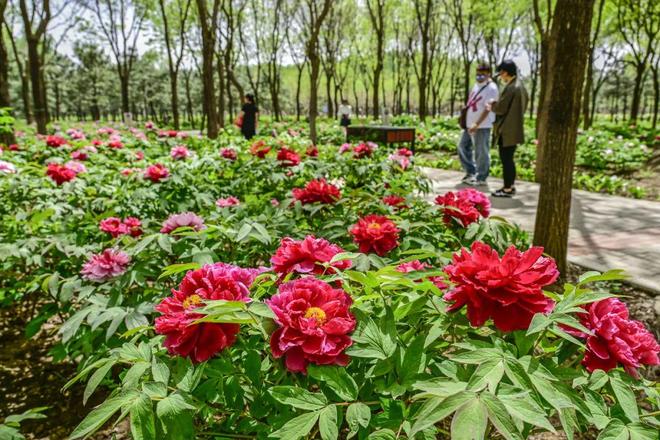 2：三大+书市+特色小镇打卡文旅新地标AG旗舰厅最新版120小时玩转副中心-(图9)